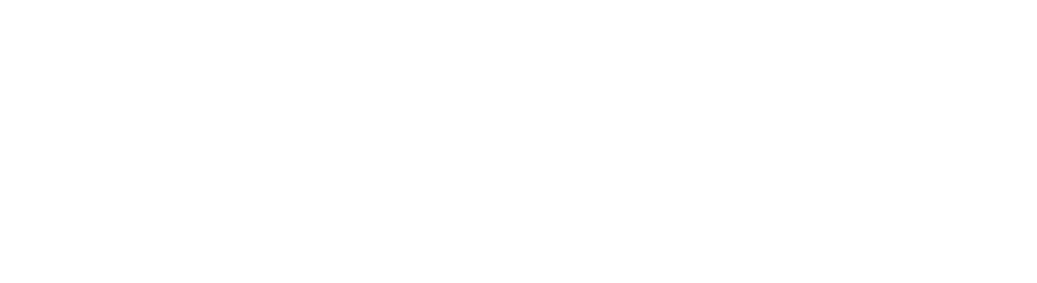 SATEV Group